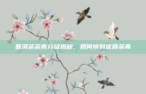 普洱茶茶青分级揭秘，如何辨别优质茶青