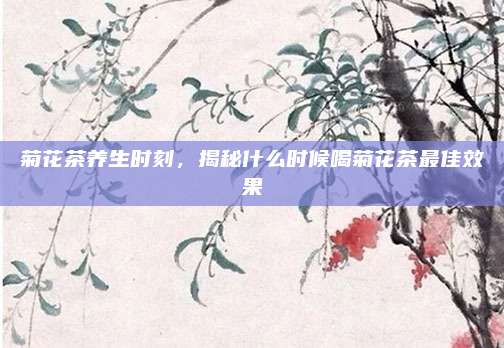 菊花茶养生时刻，揭秘什么时候喝菊花茶最佳效果