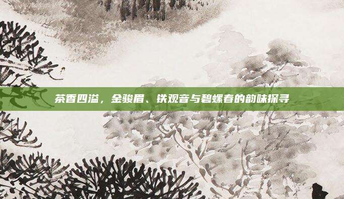 茶香四溢，金骏眉、铁观音与碧螺春的韵味探寻