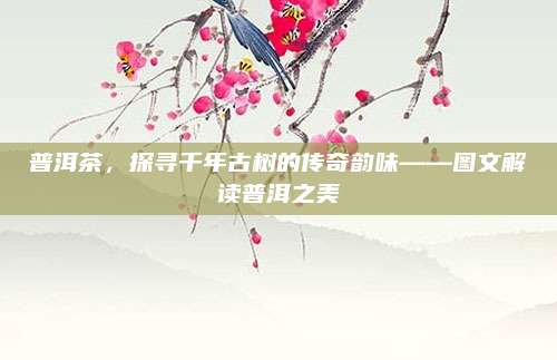 普洱茶，探寻千年古树的传奇韵味——图文解读普洱之美