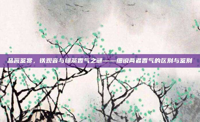 品茗鉴赏，铁观音与绿茶香气之谜——细说两者香气的区别与鉴别