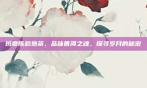 班章陈韵熟茶，品味普洱之魂，探寻岁月的秘密