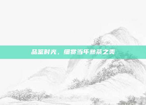 品鉴时光，细赏当年熟茶之美