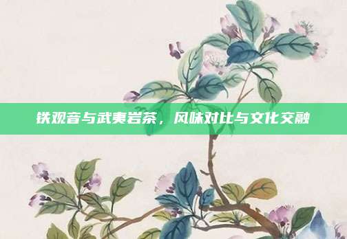 铁观音与武夷岩茶，风味对比与文化交融