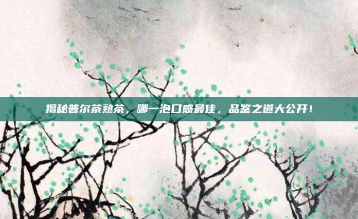 揭秘普尔茶熟茶，哪一泡口感最佳，品鉴之道大公开！