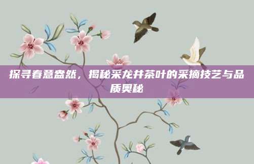 探寻春意盎然，揭秘采龙井茶叶的采摘技艺与品质奥秘