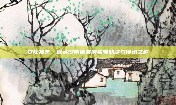 安化茶艺，探寻湖南黑茶的独特韵味与传承之道