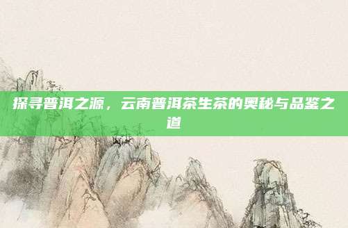探寻普洱之源,云南普洱茶生茶的奥秘与品鉴之道