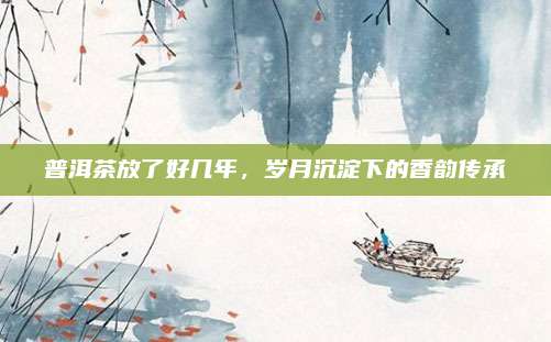 普洱茶放了好几年，岁月沉淀下的香韵传承