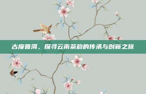 古度普洱，探寻云南茶韵的传承与创新之旅
