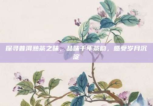 探寻普洱熟茶之味，品味千年茶韵，感受岁月沉淀