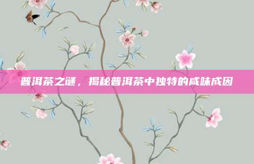 普洱茶之谜，揭秘普洱茶中独特的咸味成因
