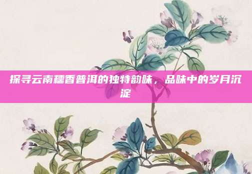 探寻云南糯香普洱的独特韵味，品味中的岁月沉淀