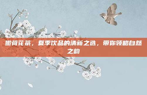 嫩荷花茶，夏季饮品的清新之选，带你领略自然之韵