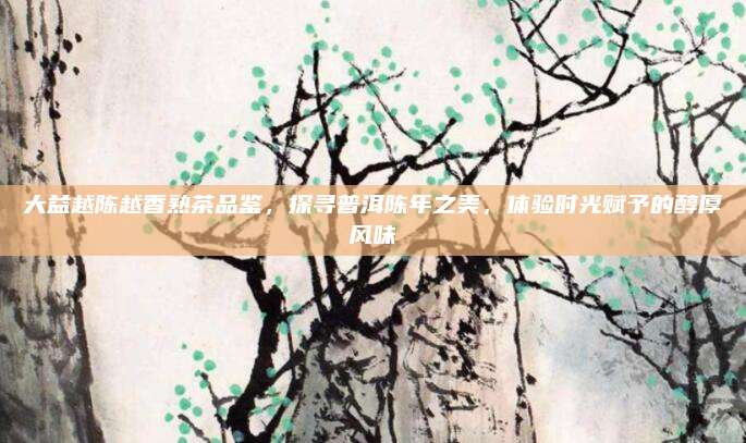 大益越陈越香熟茶品鉴，探寻普洱陈年之美，体验时光赋予的醇厚风味