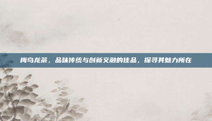 梅乌龙茶，品味传统与创新交融的佳品，探寻其魅力所在