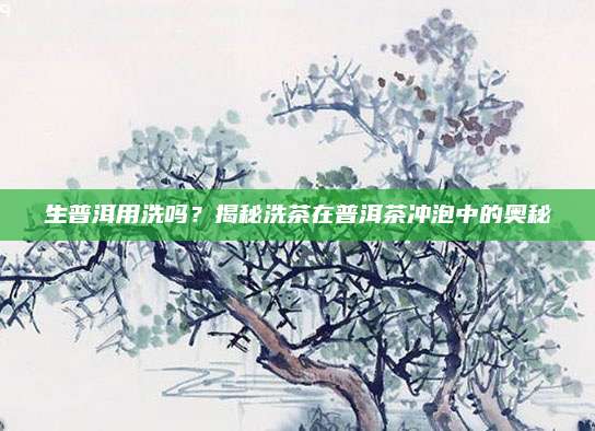 生普洱用洗吗？揭秘洗茶在普洱茶冲泡中的奥秘