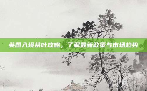 英国入境茶叶攻略，了解最新政策与市场趋势