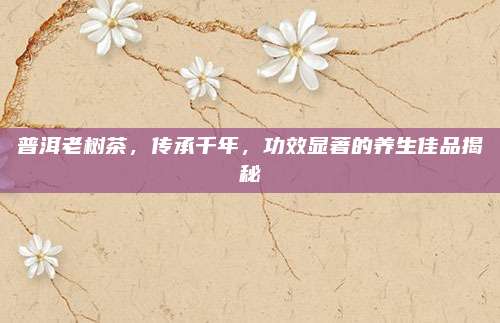 普洱老树茶，传承千年，功效显著的养生佳品揭秘