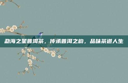 勐海之星普洱茶，传承普洱之韵，品味茶道人生