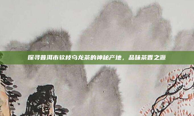 探寻普洱市软枝乌龙茶的神秘产地,品味茶香之源