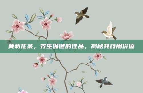 黄菊花茶，养生保健的佳品，揭秘其药用价值