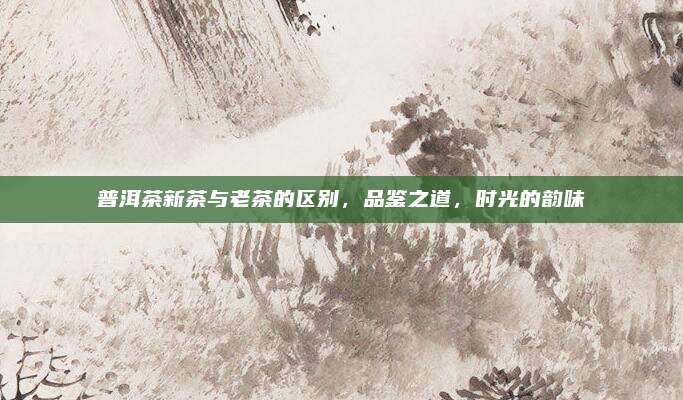 普洱茶新茶与老茶的区别，品鉴之道，时光的韵味