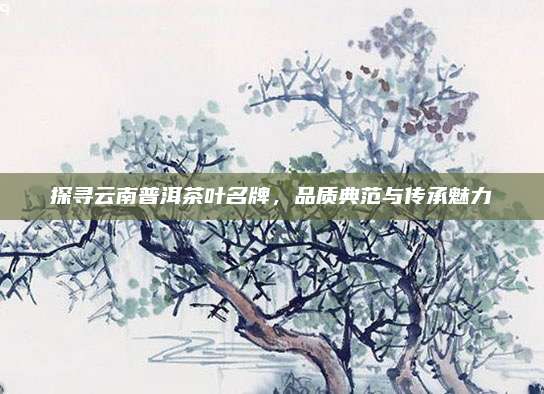探寻云南普洱茶叶名牌，品质典范与传承魅力