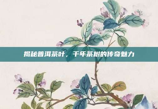 揭秘普洱茶叶，千年茶树的传奇魅力