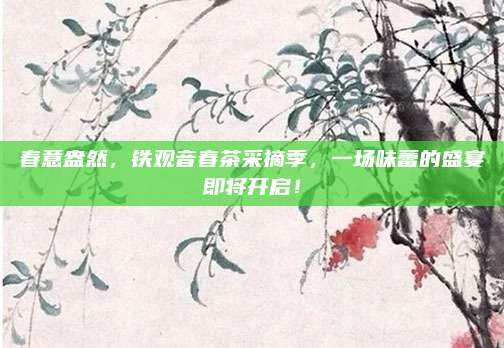 春意盎然，铁观音春茶采摘季，一场味蕾的盛宴即将开启！