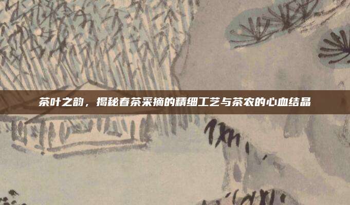 茶叶之韵，揭秘春茶采摘的精细工艺与茶农的心血结晶