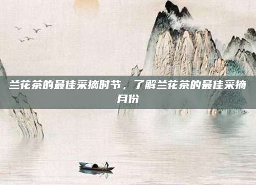 兰花茶的最佳采摘时节，了解兰花茶的最佳采摘月份
