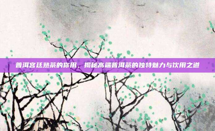 普洱宫廷熟茶的你用，揭秘高端普洱茶的独特魅力与饮用之道