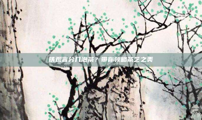 铁观音分几泡茶？带你领略茶艺之美