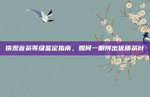 铁观音茶等级鉴定指南，如何一眼辨出优质茶叶