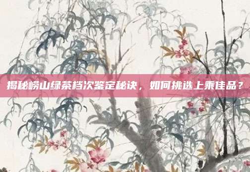 揭秘崂山绿茶档次鉴定秘诀，如何挑选上乘佳品？