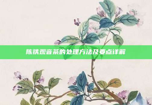 陈铁观音茶的处理方法及要点详解