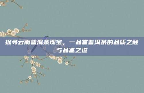 探寻云南普洱茶瑰宝，一品堂普洱茶的品质之谜与品鉴之道