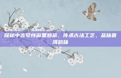 探秘中吉号纯麻黑熟茶，传承古法工艺，品味普洱韵味