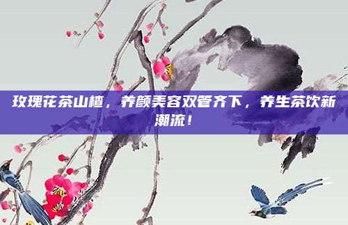 玫瑰花茶山楂,养颜美容双管齐下,养生茶饮新潮流!