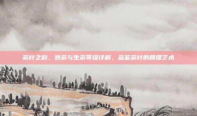 茶叶之韵，熟茶与生茶等级详解，品鉴茶叶的精细艺术