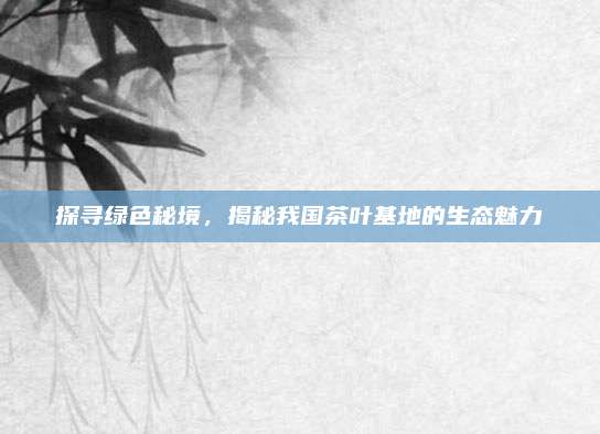 探寻绿色秘境，揭秘我国茶叶基地的生态魅力