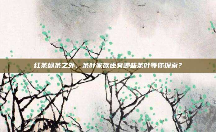 红茶绿茶之外，茶叶家族还有哪些茶叶等你探索？