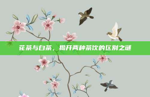 花茶与白茶，揭开两种茶饮的区别之谜