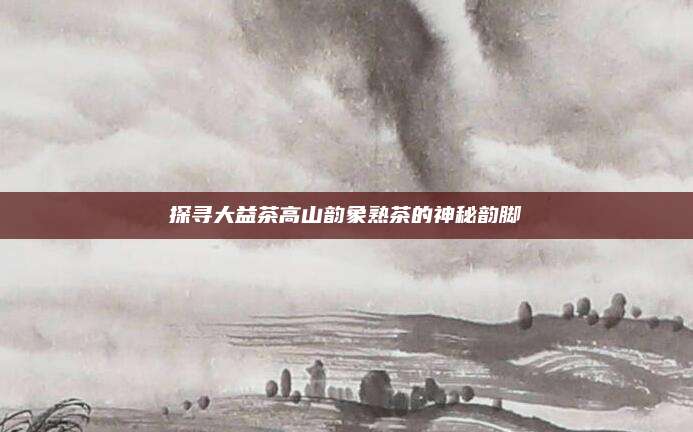 探寻大益茶高山韵象熟茶的神秘韵脚