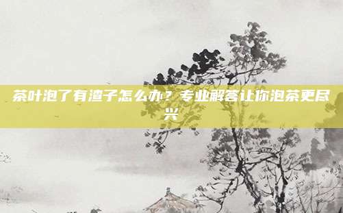 茶叶泡了有渣子怎么办？专业解答让你泡茶更尽兴