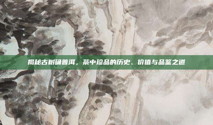 揭秘古树确普洱，茶中珍品的历史、价值与品鉴之道