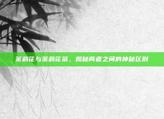 茉莉花与茉莉花茶，揭秘两者之间的神秘区别