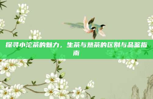 探寻小沱茶的魅力，生茶与熟茶的区别与品鉴指南