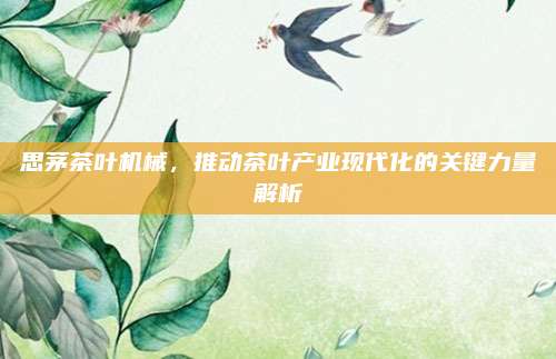 思茅茶叶机械,推动茶叶产业现代化的关键力量解析